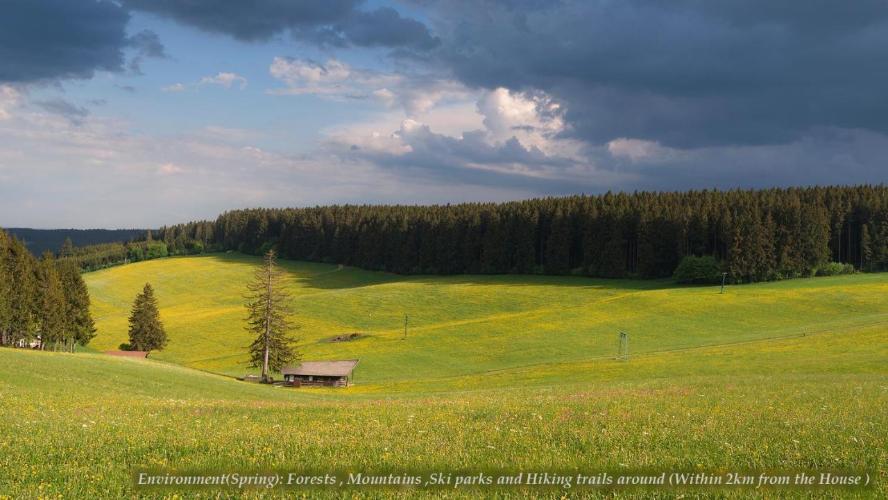 Entire House In Schwarzwald With Mountain View, Private Sauna, Gym, Garden And Terraces Unterkirnach Εξωτερικό φωτογραφία