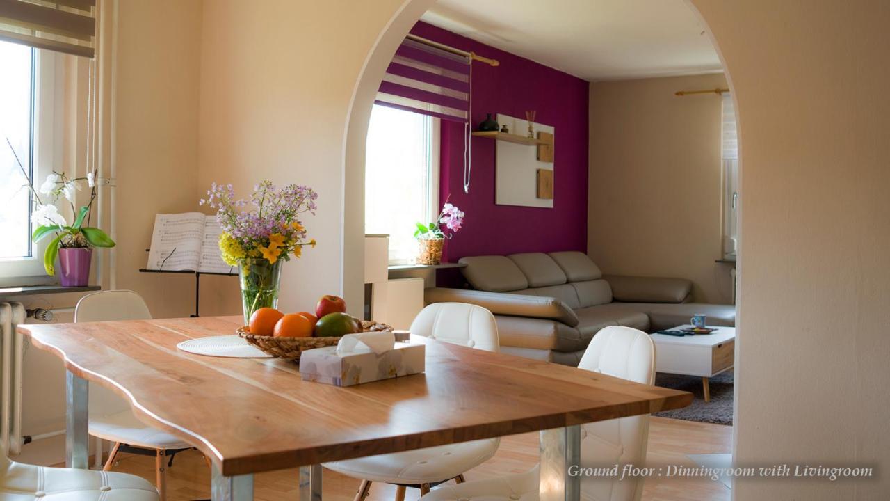 Entire House In Schwarzwald With Mountain View, Private Sauna, Gym, Garden And Terraces Unterkirnach Εξωτερικό φωτογραφία