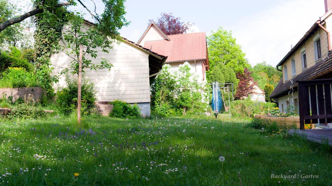 Entire House In Schwarzwald With Mountain View, Private Sauna, Gym, Garden And Terraces Unterkirnach Εξωτερικό φωτογραφία