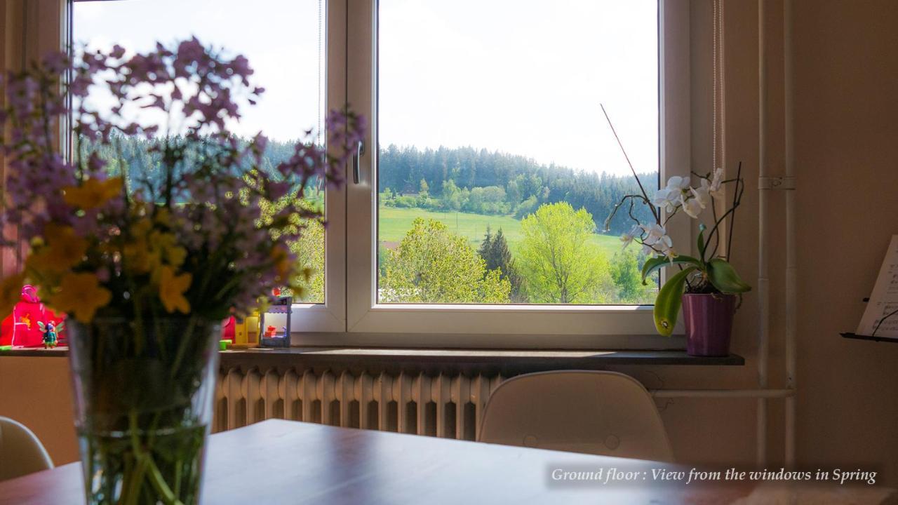Entire House In Schwarzwald With Mountain View, Private Sauna, Gym, Garden And Terraces Unterkirnach Εξωτερικό φωτογραφία